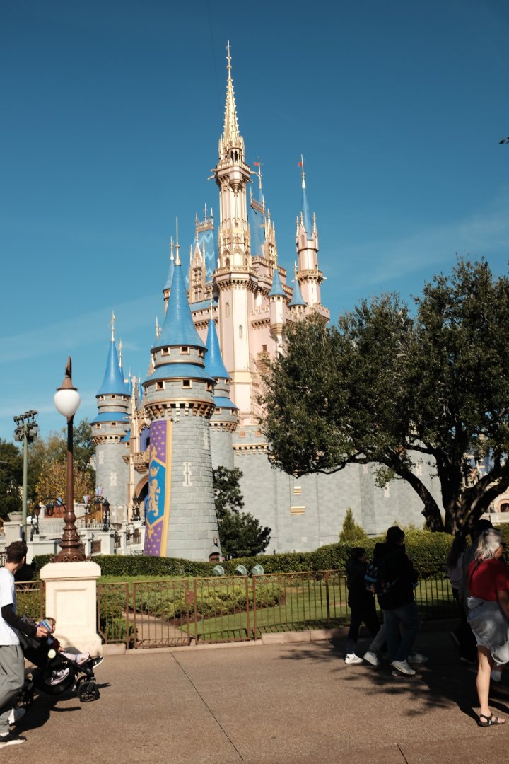 Cinderella's castle