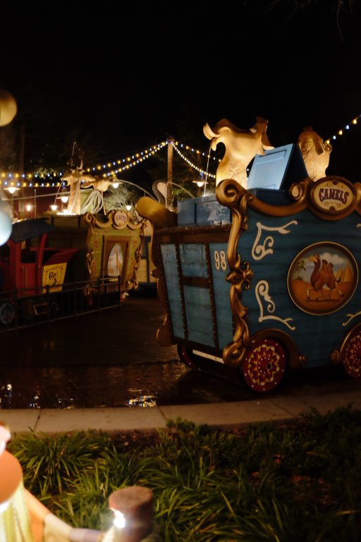 Disney World family moment